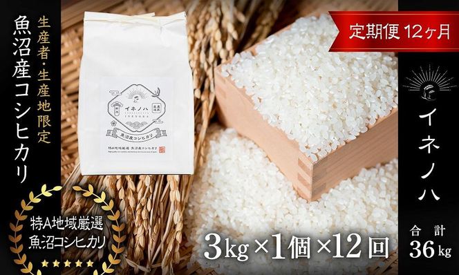＜定期便・全12回＞【令和7年産】魚沼産コシヒカリ「イネノハ 」精米(3kg×1)×12回 お米 白米 ご飯 産地直送 ミネラル 栄養分 こだわり 人気 新鮮 