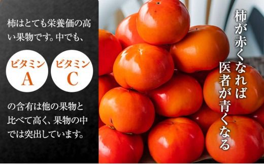 【先行予約】富有柿 贈答用 L×14個【富有柿の発祥の地 瑞穂市！！】｜富有柿 柿 かき カキ フルーツ 果物 贈答 贈答用 プレゼント ギフト 贈り物 秋 Lサイズ 人気 産地直送 岐阜 瑞穂市 送料無料  ※2026年11月～発送