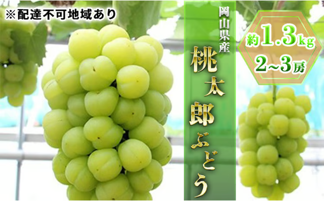 ぶどう 2026年 先行予約 桃太郎ぶどう約1.3kg 2～3房 ブドウ 葡萄 岡山県産 国産 フルーツ 果物 ギフト