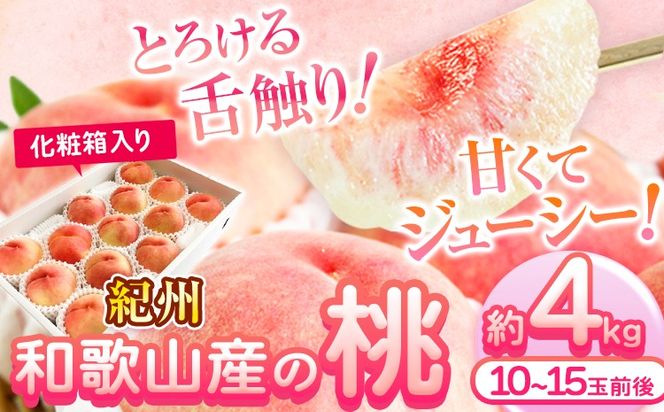 ya̎R쒬zys\z  IB a̎RY   4kg ϔ ߏXs2026N6{-8{蔭\t  a̎R 쒬 蕨 Mtg---wshg_cuot150_6g8j_25_26000_4kg---