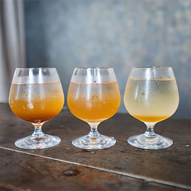 Uシロップ レモン 希釈 炭酸割り ミルク割り クラフト ジュース 飲料 ドリンク