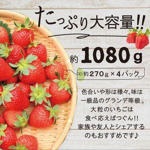 【先行予約】【全2回定期便】あまおう いちご 1,080g ( 約 270g × 4パック ) 【2026年1月中旬以降順次発送】糸島市 / 株式会社HSP-テクノ グランデ 等級 福岡県産 [AZL005] ブランド いちご あまおう イチゴ 苺 フルーツ 果物 4パック 九州 博多