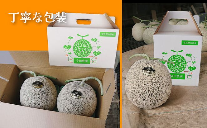 【定期便2ヵ月】糖度15度以上 赤肉メロン 富良野産 特秀品メロン 2kg×1玉 1箱×全2回｜北海道富良野市 7～8月発送 贈答用 ギフト プレゼント メロン 赤肉メロン 富良野メロン 果物 フルーツ とろける甘さ 夏季限定