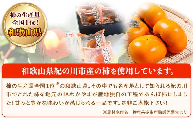 ya̎RI̐szۊ` 10Zbg JA킩 I̗n{s90ȓɏoח\(yj)ta̎R I̐s ` ʕ t[c---wsk_jakanpo_90d_22_12000_10c---