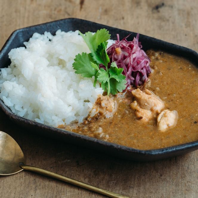 【きょうのおだし】スパイスだしカレー 2食入［ 京都 削り節屋 おだしのプロ スパイスカレー 人気 おすすめ 無添加 おいしい お取り寄せ 通販 送料無料 ふるさと納税 ］ 261009_B-KD38