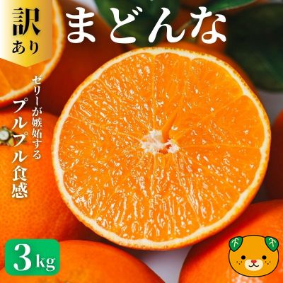 【先行予約：2026年11月20日～発送】訳あり まどんな 3kg 数量限定 愛果28号 紅まどんな 柑橘 かんきつ フルーツ 果物 旬 みかん ミカン 国産 サイズ不揃い 家庭用 おやつ 期間限定 みかん マドンナ 愛媛県 愛南町 愛南町青果市場組合