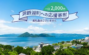 洞爺湖町 寄附のみの応援受付 2,000円コース（返礼品なし 寄附のみ 2000円） 支援 自治体支援 お礼の品なし 北海道 洞爺湖町の発展 ふるさと応援 ふるさと支援 