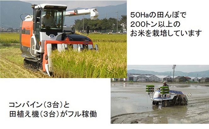 定期便 4カ月【 令和8年産 】毎月  精米 10kg（ 白米 /7分/ 5分 ツキ可）【 ミルキークイーン 】玄米は別に出品
