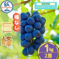 【先行予約丨2026年9月上旬より順次発送】種なし巨峰【約1kg(2房あたり)】(At-005)丨長野県 飯山市 おすすめ ランキング おいしい 高評価 大人気 先取り 産地直送 ぶどう 巨峰