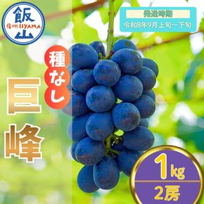 【先行予約丨2026年9月上旬より順次発送】種なし巨峰【約1kg(2房あたり)】(At-005)丨長野県 飯山市 おすすめ ランキング おいしい 高評価 大人気 先取り 産地直送 ぶどう 巨峰