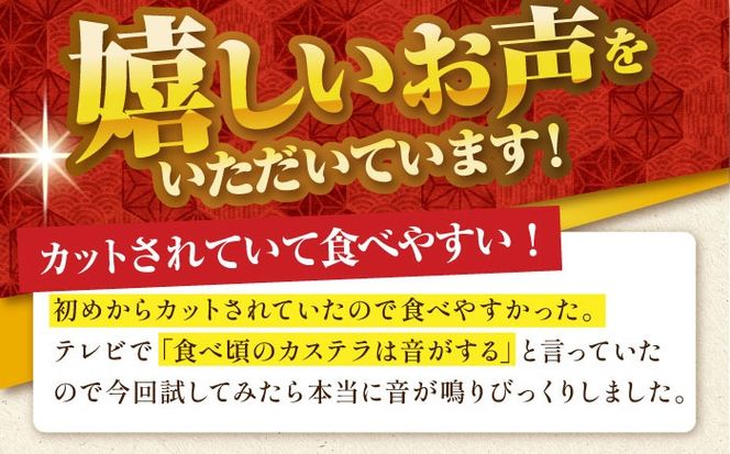 【6回定期便】【濃厚で上品な甘み】和三盆糖「長崎五三焼かすてら」1本（極上） 伊藤代二作＜烏骨鶏卵使用＞ 南島原市 / 株式会社須崎屋 [SCA011]