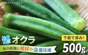 オクラ 500g 冷凍 旬の時期に急速冷凍 【福岡県糸島産】 糸島市 / オーガニックナガミツファーム 野菜 おくら [AGE044]