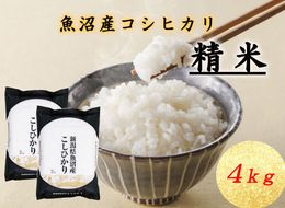 T-03【令和7年産】魚沼産コシヒカリ 4kg 米 コメ こしひかり 精米 ブランド米 お取り寄せ 十日町市