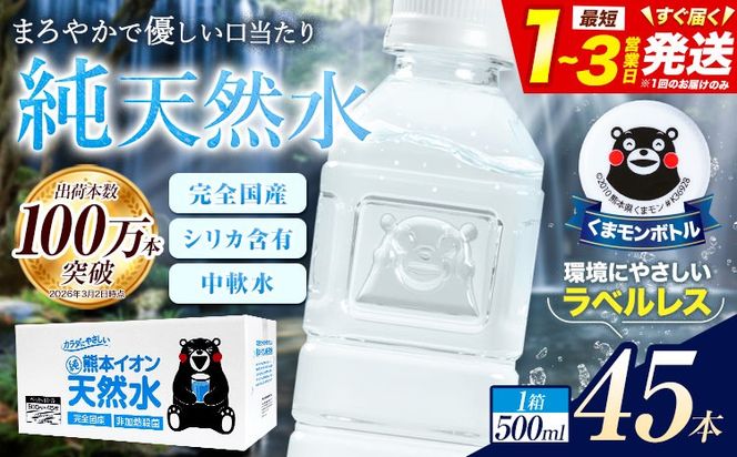 熊本イオン純天然水 ラベルレス 500ml×45本 《1-3日以内に出荷予定(土日祝除く)》 水 飲料水 ナチュラルミネラルウォーター 熊本県 玉名郡 玉東町 完全国産 天然水 くまモン パッケージ---gkt_lcl_487_45h---
