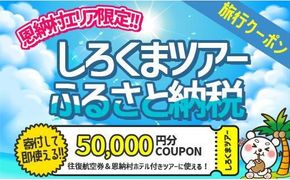 【恩納村】しろくまツアーで利用可能なWEB旅行クーポン（50,000円分）