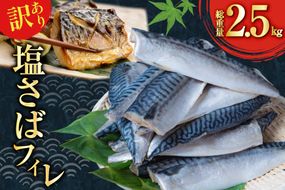 訳あり 減塩 フィレ Sサイズ 総重量 2.5kg [足利本店 宮城県 気仙沼市 20565959] 魚介類 魚 大容量 サバ さば 鯖 塩分控えめ 切り身 冷凍 訳アリ