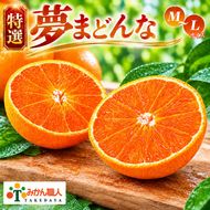 【先行予約】特選 みかん職人の夢まどんな 5kg 柑橘 果物 フルーツ 愛媛 みかん職人武田屋 蜜柑 愛果28号 愛媛果試第28号 まどんな 大小ミックスサイズ 甘い 甘さ らんきんぐ みかん かんきつ 柑橘 冬 旬 食べごろ 農家 農家直送 農園 人気 みかん職人 武田屋 産直 みかん職人武田屋 愛媛県 愛南町