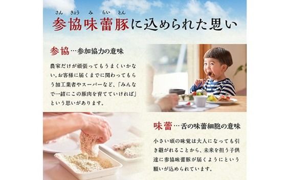 小分けで使いやすい！さんきょうみらい豚満喫セット 【 しゃぶしゃぶ 切り落とし ウデ モモ 鉄板焼 餃子 生ハム切り落とし ハンバーグ 】 [E0102a]