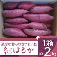 2025年度産 濃厚な甘みのさつまいも 紅はるか 約2kg｜さつまいも 芋 お芋 紅はるか 渋谷農園 茨城県 行方市(BZ-56)