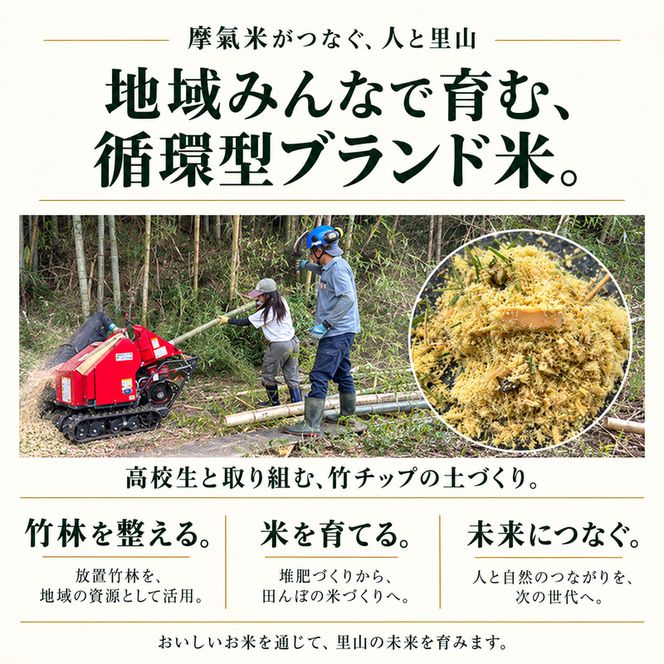 【定期便6回】令和8年産新米 有機堆肥栽培米 こしひかり 摩氣米 5kg コシヒカリ 精米 白米 米 コメ お米 おこめ ご飯 ごはん 京都 令和8年 5キロ 新米 新米26