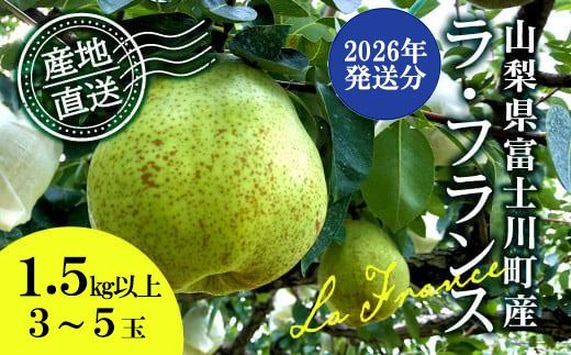 【2026年発送分】【数量限定】【やまなしフルーツ定期便（３回）】 貴陽（すもも）（６-９玉）＆シャインマスカット（２kg前後・３-４房）＆ラ・フランス（1.5kg以上・３-５玉）　定期便　果物 フルーツ くだもの すもも 貴陽 李 プラム シャイン 洋ナシ 洋梨 洋なし 山梨 やまなし 富士川町