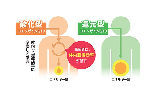 ＜機能性表示食品＞DHC コエンザイムQ10還元型 30日分12個セット サプリメント 健康食品 加工食品 抗酸化作用 エネルギー産生を助ける 酸化ストレスを緩和 