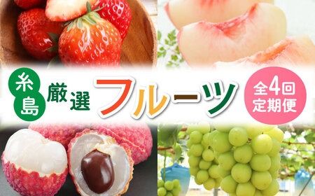 【全4回】糸島厳選くだもの定期便 約2人前 フルーツ 果物 糸島市 / やますえ あまおう シャインマスカット 桃 ライチ [AKA071] ランキング 上位 人気 おすすめ