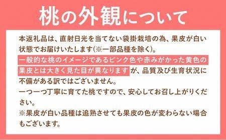 【ふるプレ限定品】 【2027年発送】岡山の桃 約1.1kg （3~5玉) 《2027年6月下旬-8月末発送》---yakage_loc_21_2027_p---