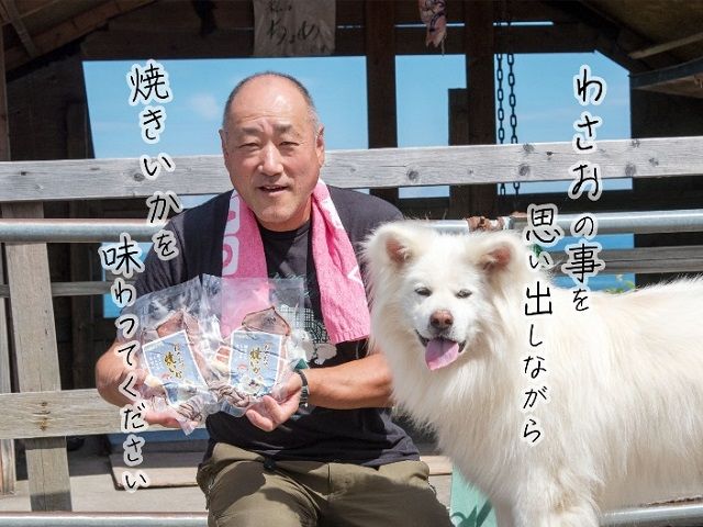 わさおの店の炭火焼きいか 5パック 200g以上×5枚 魚貝類 イカ 加工食品 