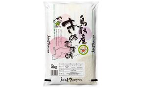 鳥取のお米　きぬむすめ　5kg×2 精米 313726_CW006