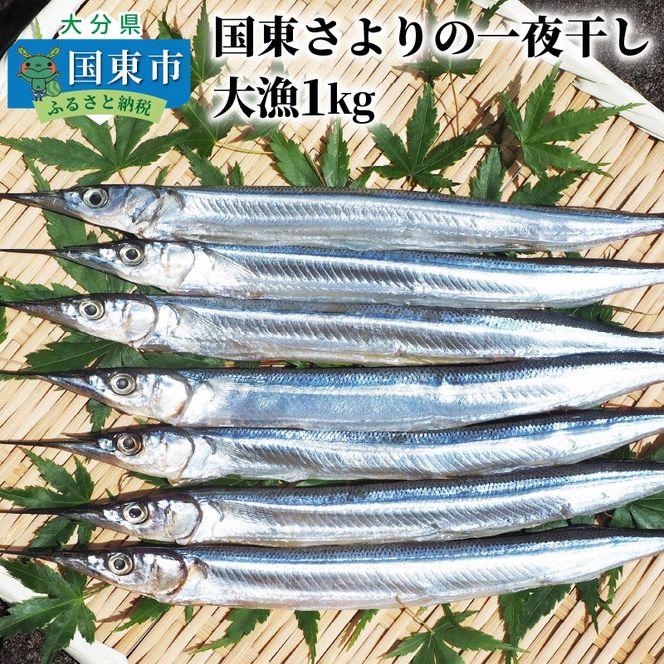 国東さよりの一夜干し/大漁1kg_1043R
