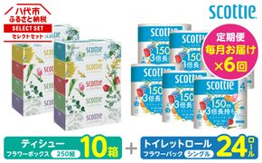 【定期便6回】【毎月お届け】【スコッティ】 組み合わせ ティシュー フラワーボックス 250組 10箱 計60箱 トイレットロール シングル フラワーパック 3倍長持ち 24ロール 計144ロール ティッシュ トイレットペーパー 日用品 ストック 防災備蓄 ストック 備蓄 新生活 防災 消耗品 生活用品 日用消耗品 箱ティッシュ