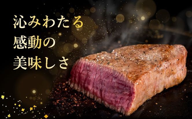 【2025年11月以降順次発送】希少な特選石垣牛をご家庭で！！肉の旨味あふれる赤身（モモ、ランプ）ステーキ肉　合計400g