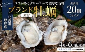 2026年4月～6月配送 厚岸産　殻付カキ Lサイズ20個（生食用）牡蠣 魚貝類 海鮮 海の幸 生食用牡蠣 オイスター 厚岸産生牡蠣 マルえもん 