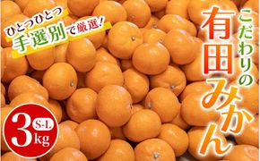 こだわりの和歌山県産 有田みかん 3kg（S～Lサイズおまかせ） ひとつひとつ手選別で厳選！生産者から直送 【2026年11月下旬～2027年1月中旬ごろに順次発送予定】 | みかん フルーツ 果物 くだもの 有田みかん 蜜柑 柑橘【hdm004A】