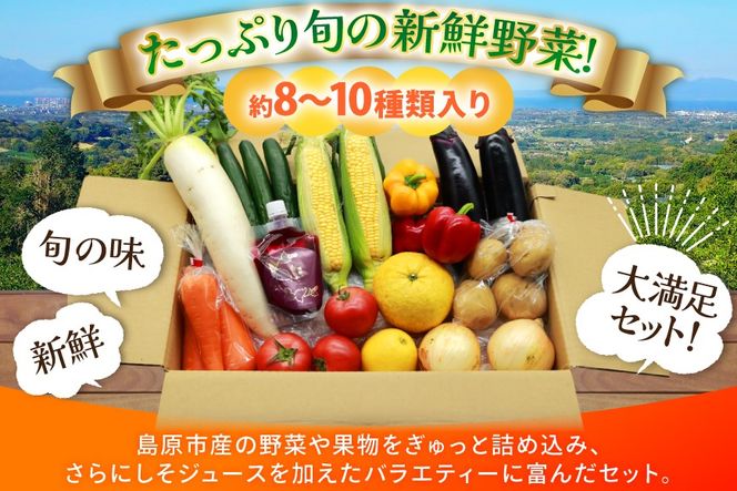 AJ314 季節の野菜・果物セット 8～10品 しそジュース付き [ 野菜 詰合せ 長崎県 島原市 ]