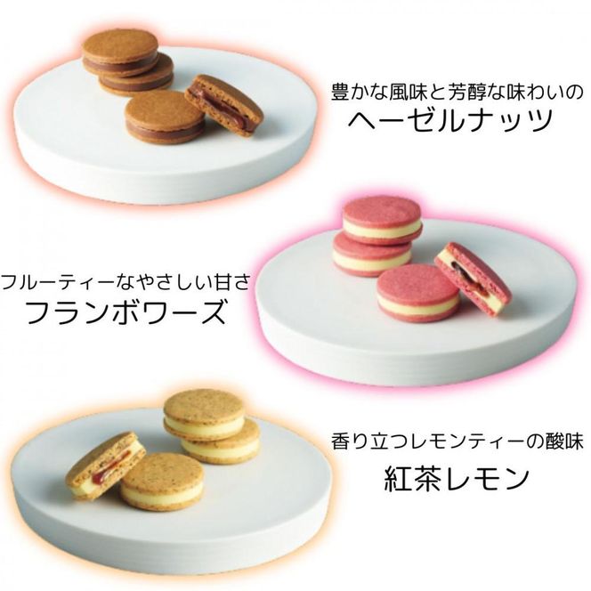 【ギフト包装対応】【期間限定】ザ・スウィーツ ショコラサンド(18個) ｜シャディ スイーツブランド 人気セット スイーツ［ シャディ お取り寄せ ショコラサンド 人気 おすすめ ナッツ ラズベリー 紅茶 レモン ギフト プレゼント 贈答 お菓子 スイーツ 通販 京都 ふるさと納税 ］ 261009_SHDYAS012