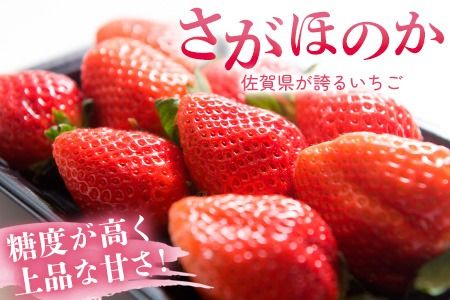 【先行受付 令和9年1月より発送】佐賀県産『さがほのか』4Pセット【いちご 苺 イチゴ 大粒 果物 フルーツ デザート ふるさと納税】(H108103)