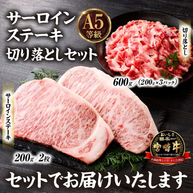【A5等級宮崎牛】サーロインステーキ・切り落としセット1kg（小林市産 牛肉 和牛 特選 贅沢 厳選和牛 ブランド牛 ギフト 贈答）