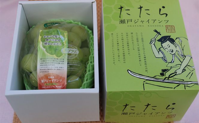 【2026年先行予約】 ぶどう 岡山県産 たたらみねらる 瀬戸ジャイアンツ 1房(約650g) 《2026年9月中旬-10月中旬頃出荷》 葡萄 ブドウ フルーツ 果物 スイーツ 数量限定 期間限定 岡山 里庄町 
