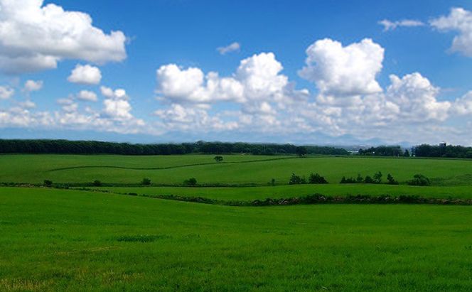 あっけし極みるくチョコ・極みるくあいす（各5個） お菓子 アイス ミルク 
