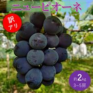 ぶどう 先行予約 訳あり ピオーネ 約2kg(3～5房) ブドウ 葡萄 岡山県産 国産 フルーツ 果物