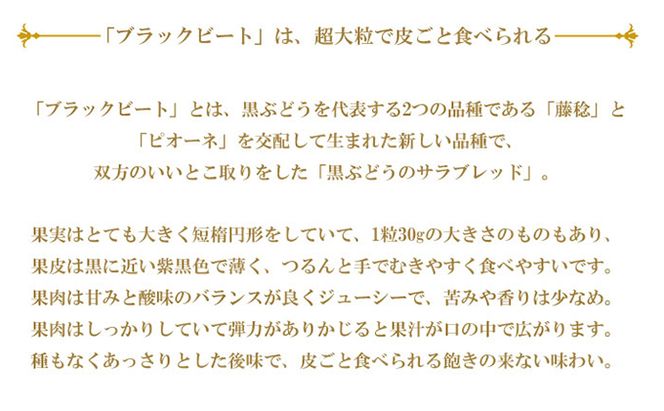 ぶどう 2026年 先行予約 ブラックビート 約700g×1房 ブドウ 葡萄  岡山県産 国産 フルーツ 果物 ギフト 岡山のブドウ デザート 食べ物 日本産 