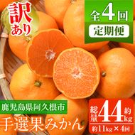 ＜先行予約受付中！定期便・全4回(10月・11月・12月・1月)＞＜訳あり・不揃い＞鹿児島県産！手選果みかん(総量約44kg・約11kg×4回) 国産 蜜柑 柑橘 果物 フルーツ ミカン 旬 冬 ご家庭用 おすそ分け【三笠農業生産】akn051-16