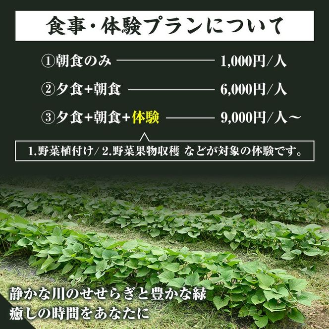 農家民宿里山清流亭(1泊・1名様)鹿児島 旅行 宿 旅館 貸し切り 農業体験 野菜【MOTOグリーンファーム】a-24-37-z