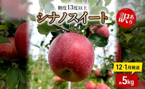 りんご 【12月・1月発送】 糖度13度以上 訳あり品 家庭用 シナノスイート 約5kg【 青森りんご 】