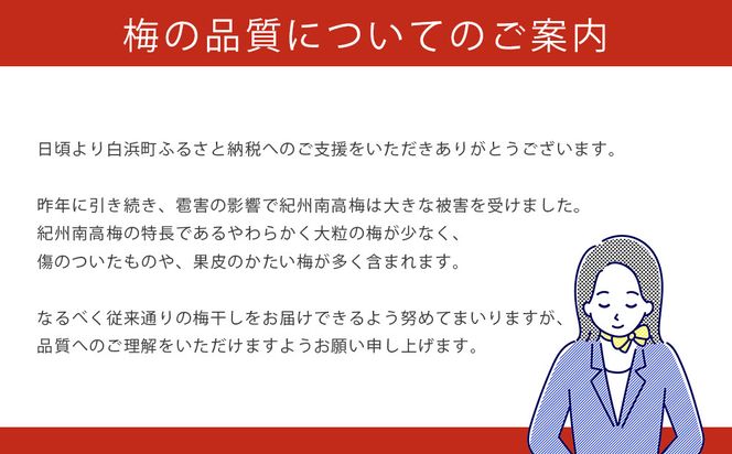 ※好評につき、25年11月以降発送※ 紀州南高梅　《つぶれ梅セット》　しそ漬け梅　塩分3％（1.2キロ） 304018_BQ08