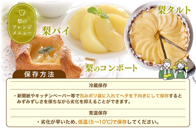 《2026年産 先行予約》【梨 二十世紀梨 香住梨 3kg ご自宅用 優品（Bランク）L～5Lサイズ混合6～10玉】【令和8年8月下旬以降発送予定】 梨 20世紀梨 香住梨 シャキシャキ 甘味 瑞々しさ 香住梨 フルーツ 果物 ご家庭用 なし ナシ 和梨 青梨 大人気 おすすめ ランキング 兵庫県 香美町 香住 JAたじま たじまんま 76-03