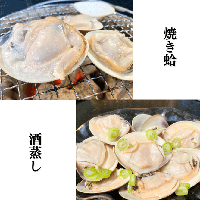 岬だよりの＜個包装＞大粒!天然はまぐり(特特大サイズ)170g前後×5個入り