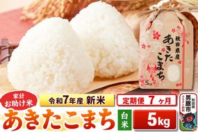 《定期便7ヶ月》令和7年産 新米 【白米】家計お助け米 あきたこまち 5kg|23_kml-010507